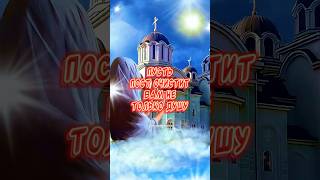 Очень красивое поздравление С началом Рождественского Поста! Здоровья! Мира! Счастья! Веры и Любви❤️