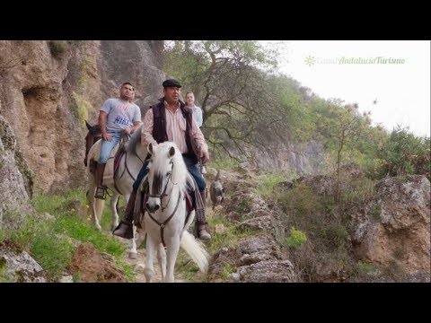 Ruta a caballo, Mondújar. Granada