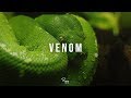 "Venom" - Dark Freestyle Trap Beat | Free New Rap Hip Hop Instrumental 2019 | Luxray #Instrumentals