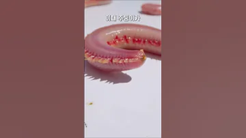 여자가 보면 무서운 벌레 Shorts 