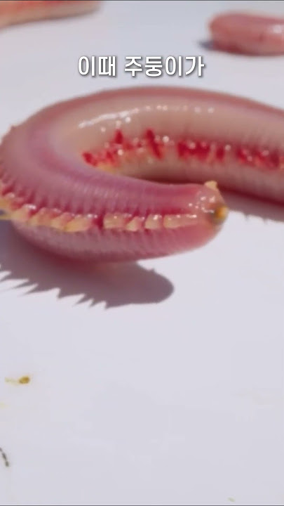 Scary bugs for women #shorts