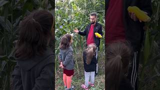 Mısır Örneği Ile Allah İçin Yapılan Tüm Hayırların Kat Kat Artırılması, Bakara 261.Ayet, Said Nursi