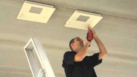 How to install BuzziwWings