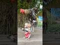 Lovely Animal SokYaa Sokhaa To To And Mom Are Famous Amazing Shorts Lovely Animal SokYaa Sokhaa To To And Mom Are Famous Amazing Shorts