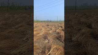 Jai Bholenath Jai Shiv Shankarviral