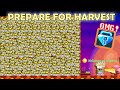How to prepare for harvest festival 2023 profit bgl omg  growtopia