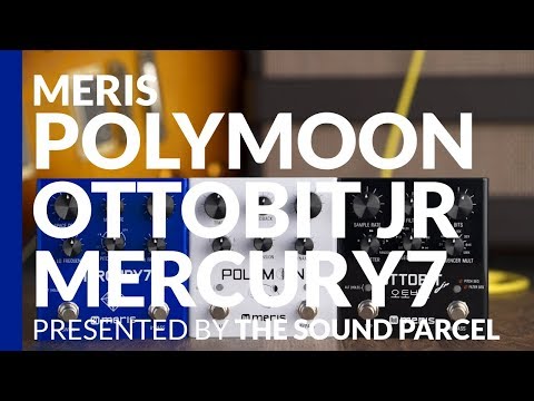 Meris Polymoon Modulated Delay, Ottobit Jr, & Mercury7 Reverb Overview