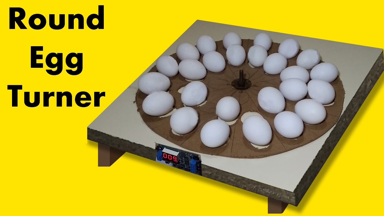 Round Egg turner How to make incubator egg turner Automatic egg