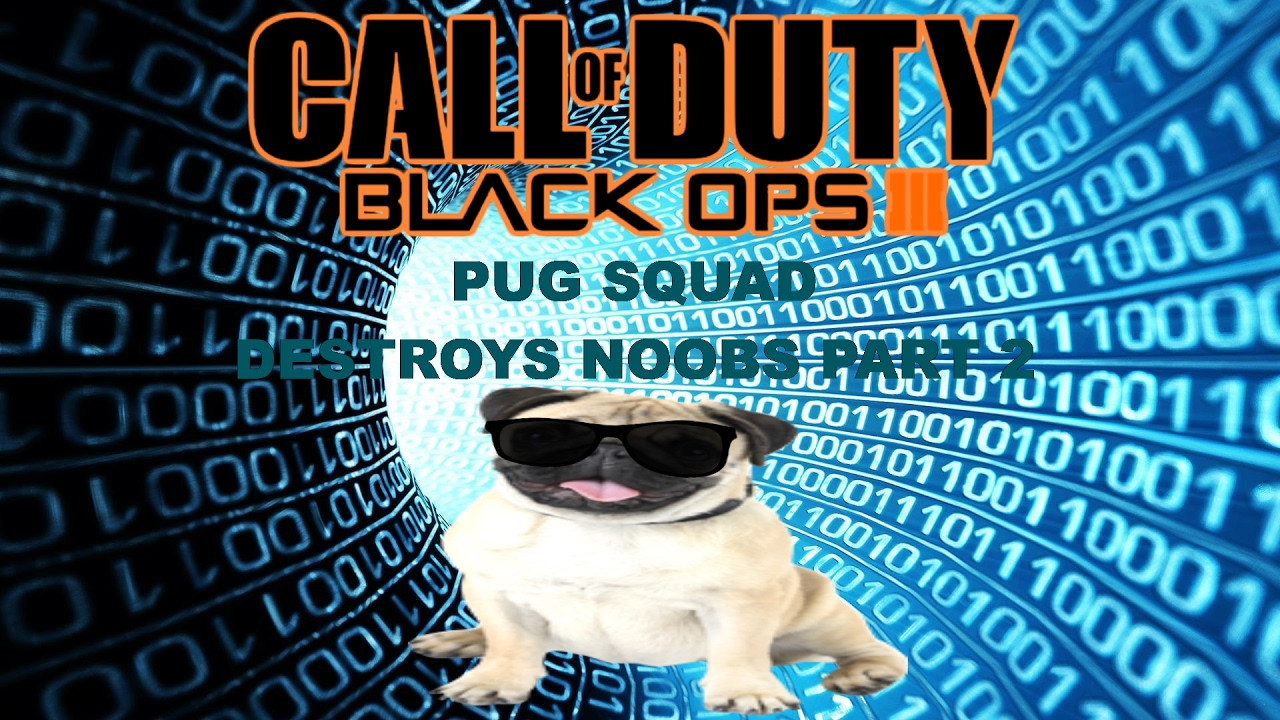 PUG SQUAD DESTROYS NOOBS PART 2! BLACK OPS 3****