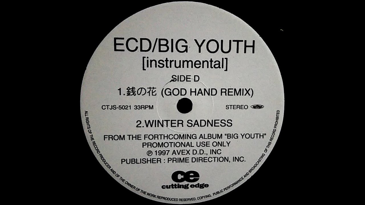 ECD/BIG YOUTH [instrumental] アナログ レコード BIG YOUTH INSTRUMENTAL / ECD