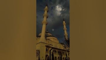 ﴿ يَا عبادِي الذِين آمنُوا إِن ارضِي وَاسِعَة ﴾🤍 سوره العنكبوت، عبدالرحمن مسعد #ارح_قلبك #قران_كريم