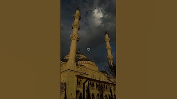 ﴿ يَا عبادِي الذِين آمنُوا إِن ارضِي وَاسِعَة ﴾🤍 سوره العنكبوت، عبدالرحمن مسعد #ارح_قلبك #قران_كريم