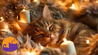Magic Music for Cats - Relaxing Hand Crafted Classical Music for Cats 🎼