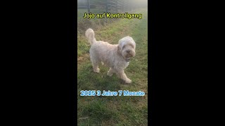 Nachbarschaft Erkunden 2025 3 Jahre 7 Monate