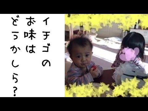 市川海老蔵 かわいいね 勸玄 かんげん くん ０歳 麗禾 れいか ちゃん ２歳 にイチゴを薦められる Youtube