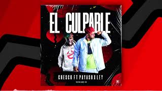 Chesco ❌ Payaso x Ley - El culpable ( audio oficial)