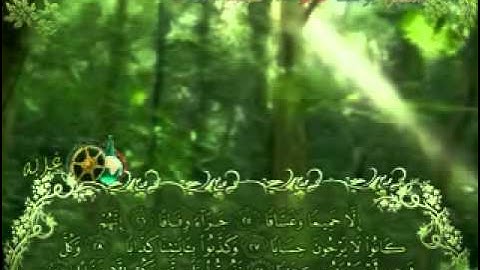 سورة النبأ بصوت الشبل يوسف كالو