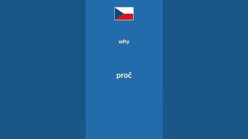 Basic Czech Question Words