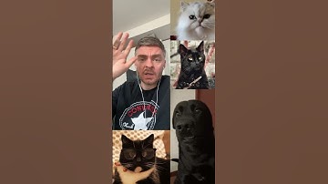 Who will be responsible for this? #digitalmarketing #business #marketing #seo #developer #webdesign