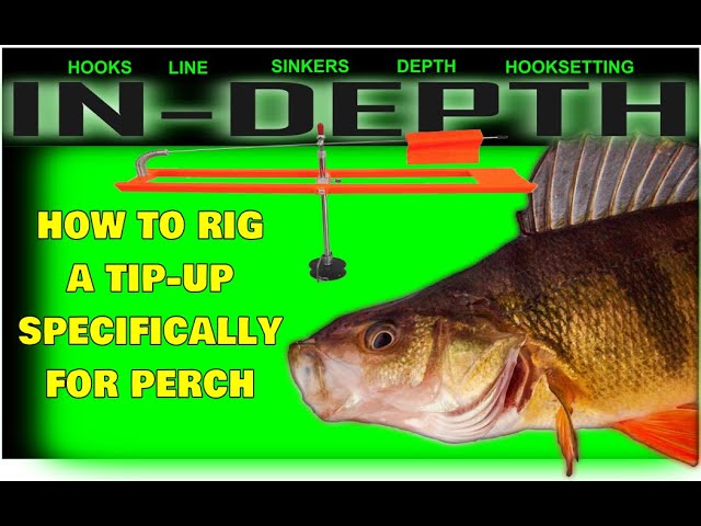 In-Depth: A Look At Line, Hooks, Sinkers, Hook Setting & Depth.  Specifically For PERCH! 