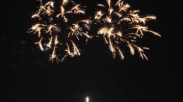 Free Stock Video Download - Fireworks HD Stock Video