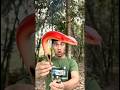 Making a lamp to survive #camping #bushcraft #survival #facts #skills #lifehacks #outdoor #sentopro