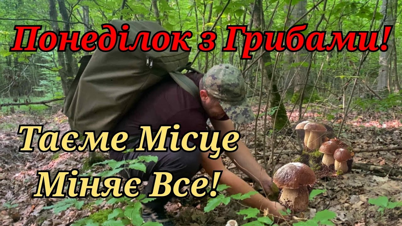 Понеділок Повний КОШИК Білих Грибів! Одне місце Міняє Все!! Годину в Лісі з гарним результатом!!!