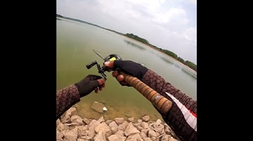 Mồi lure pm 50s , câu lure cá Ngựa