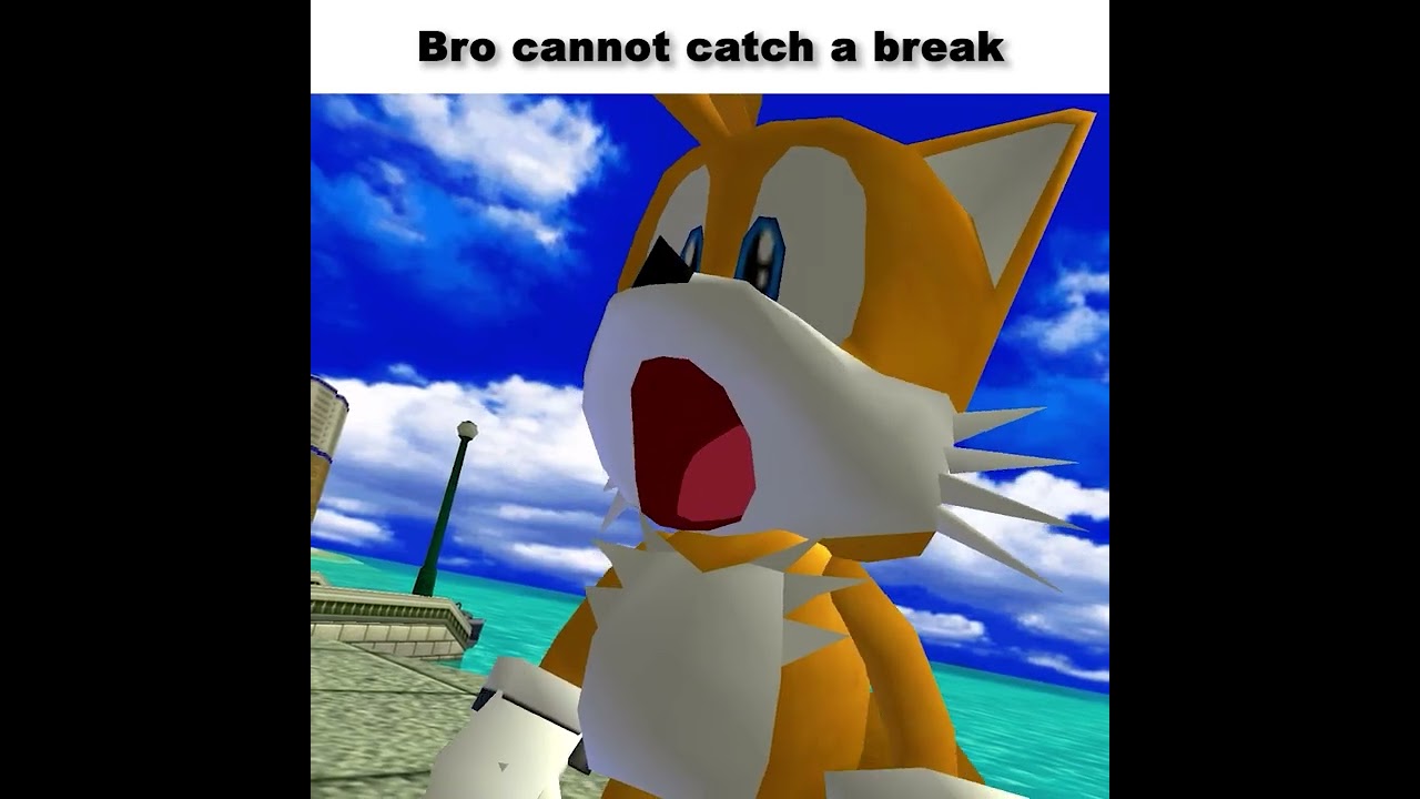 OIIAIOIIIAI Cat falls in love 