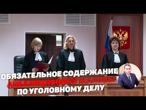 Содержание апелляционной жалобы по уголовному делу