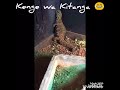 Ona Maajabu Ya Huyo Kenge Ona Maajabu Ya Huyo Kenge