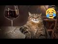 Funny CATS &amp; DOGS will CURE YOUR BAD MOOD 2026