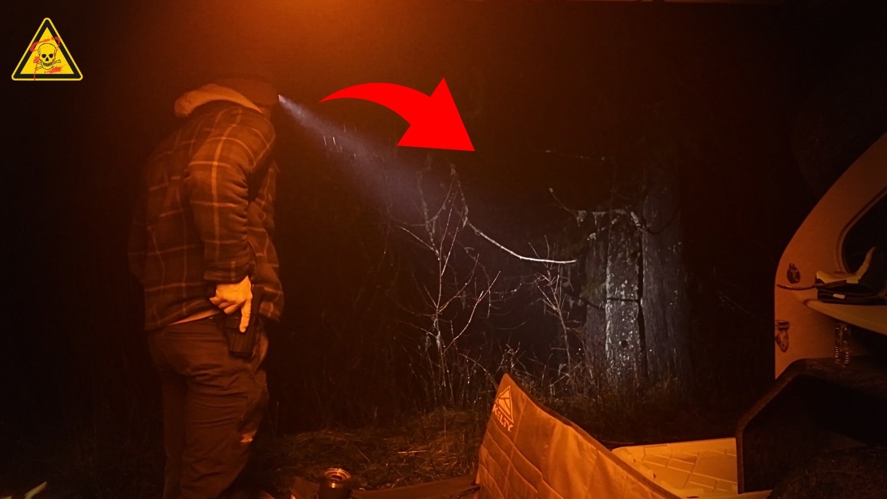 10 Encontros Reais e Aterrorizantes em Florestas Sinistras! #21