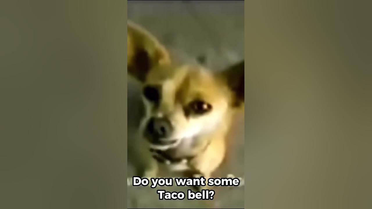 Taco Bell commercial YouTube