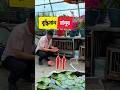 বাড়ির আঙিনায় অসাধারণ কিছু সবজি চাষ😱 #facts #amazing #viral #viralvideo #trending #video