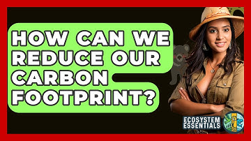 How Can We Reduce Our Carbon Footprint? - Ecosystem Essentials
