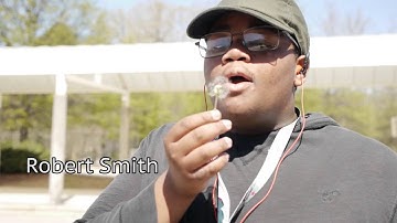 Turn around music video