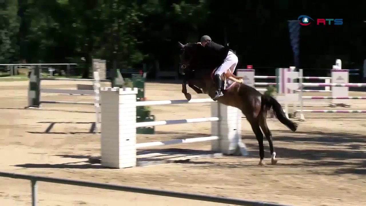Ergebnisse Springreiten Ergebnisse Springreiten