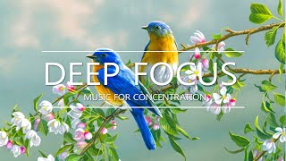 Deep Focus Music for Studying - Relaxing Music with Birds Singing - Reduce Stress Piano Music