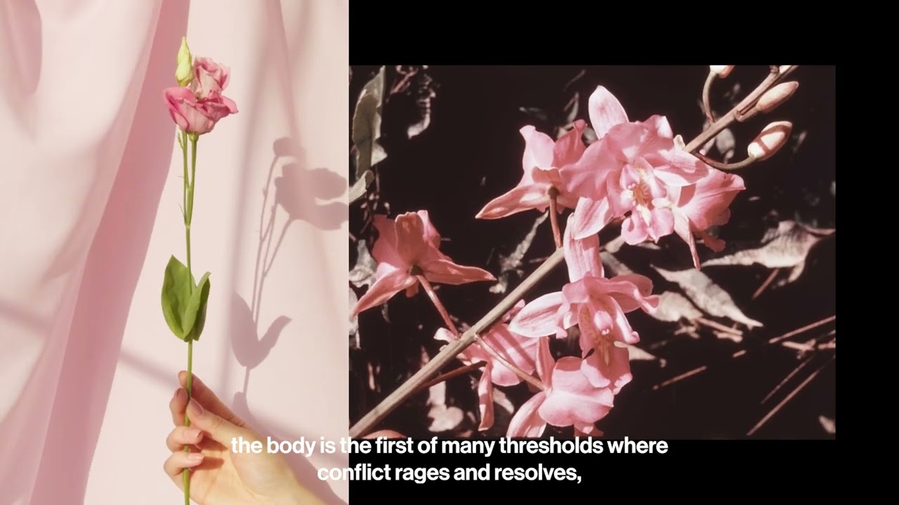 Visual identity #2 - EN