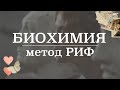 Реакция иммунофлюоресценции (РИФ) | Микробиология/Биохимия