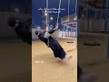 خلوها تلعب 