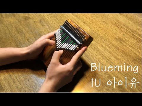 아이유(IU) - Blueming 칼림바 연주 커버