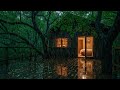 Deep Forest Rain Sounds at Night 🌲 | Relaxing Nature Ambience for Sleep