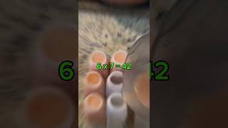 Vendendo suco natural na rua vendas empreendendo empreendedorismo empreendedor