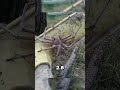 Nadir Fotoğraflar Part 3