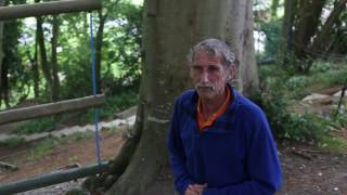Famous Opendoor Adventure - Low & High Ropes Wealth