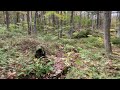 Hvny exploring the mysterious stone chambers of putnam county ny