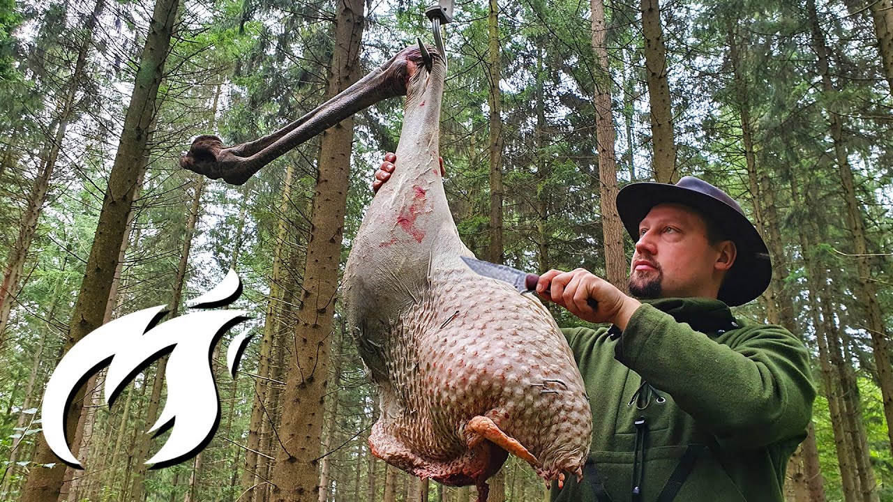 GANZES Straußenbein im Wald gegrillt Fire Kitchen ASMR 🔥🔥🔥