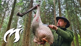 WHOLE Ostrich Leg grilled in the forest! Fire Kitchen ASMR 🔥🔥🔥